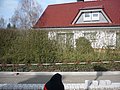 P1000053 [640x480].JPG